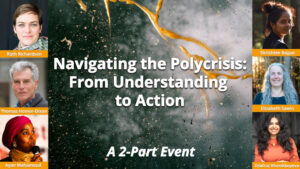 Navigating The Polycrisis: From Understanding To Action - Post Carbon ...